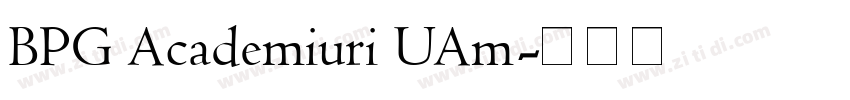 BPG Academiuri UAm字体转换